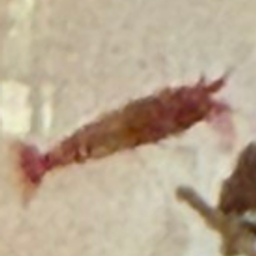 Coin image for CPcm4tXrzG7ewmgnZFLegyfFCvKHXGMSqqTjXLTPpump