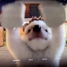 Coin image for CQdV6MfiUSzmYBuwXR1h34uSTms1HNCeDAh1mcypump