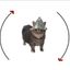Coin image for CR6n17Hc1YVmrraqT4YmTuCoj8t3oTjAzLsfpkgDjw7X