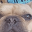 Coin image for CRMMykKj34CBSmZnxE6kvbKXeFMgBt2NEWQXeoJPpump