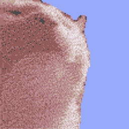 Coin image for CRWNXLwf2r5VMqrKEdQezRhYYGpgEm67CTJWSfaPBZG2
