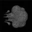 Coin image for CRXWLxQnnZpgENZJKf2JEL1gft6whQnTf2Zvo7naP43H