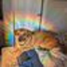 Coin image for CS8rwKv6aWpXFeWMCrGpeLEutSyf6dFVwpV63qudpump