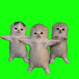 Coin image for CSarsxTnmdEpTchpySaLAAVZUSBVXkJUQJw2oLEEpump