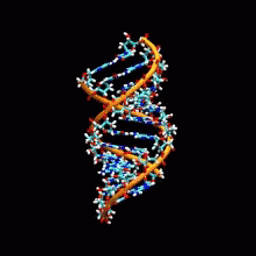 Coin image for CSqmZBuMf8dZDKRVcLDAPmmJpg2PcNvNLKMcCJXmpump