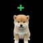 Coin image for CUSdDG3QjyY5mg7s6VoyqSpXVVC7sPKAbZ3GkaniLfm6