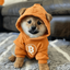 Coin image for CVCgxGvsBWWHA15MxNq4zttPKfgFbCnmKDxqs75Dpump