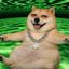 Coin image for CVUHrdHVuhNwRMFejxhhYuWisJoAUVNyvzv8Ldbrpump