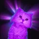 Coin image for CWBZKD3RuRsGUzSNWhddtzBqae6frRybMhSPnSn8pump
