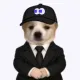 Coin image for CXbbFSvefwQsfZhxCTJsHvZtNminem5fgZMH88gBpump