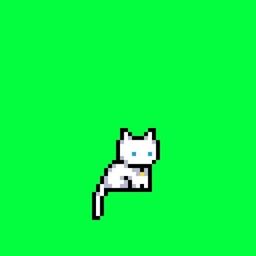 Coin image for CYMuyuPUFGQHNeHUWWV2CcoozTd2LnNmJePC6bKupump