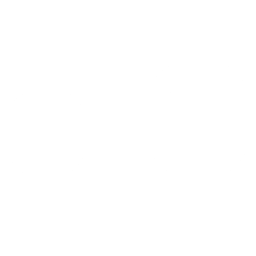 Coin image for CYvmjjRmDpveFt9eVZzQqs6sCGK1f8mmxjynHoABpump