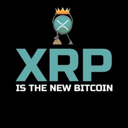 Coin image for CaDqooZB7PyJqhghYAysb1jsLHevtPMAwW4DLZj4pump