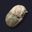 Coin image for CaM8m8Zn8t17vPnVCoj36vDMLqNJVnfhem6bQYwTjvDy