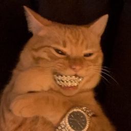 Coin image for CaQFsGpXdSMJ2hwCSLxWWdWwZMQAK3MnAFfudh4LxRSX
