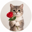 Coin image for CaTpTy1tk4ykhy36zJdVkhrHaigM6gAGU28jeweYf4jR