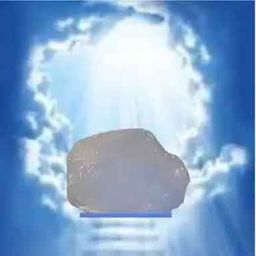 Coin image for CatvpTRLNCFJjqUvuLkoLHHjcPFeELuD3WorFFcJpump