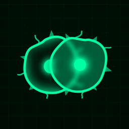 Coin image for CcN3oKtDTd7Uf9iZP4MvtkCoub5sVEnCrqbitfsZXkY9
