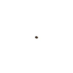 Coin image for CcSoJfpezxAV2PHKBXdbQ2uwEh9yxDKLLXRULEeGpump