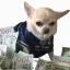 Coin image for CcidAEwuT7n5W3iuFXRmAvAqWwCqifJhjAjPrATrpump