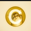 Coin image for CcwvZ8dFhkvwsCjPowfkg7yjck31pduV69YnN1f8pump