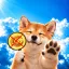Coin image for Cf1nSY4nNb6UsvwGscB4JhgkCBvP3h3gbPrJhPzzpump