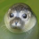 Coin image for Cf23jbuTv4zhv9tH8K9AniWuzVfcFuHoTJHPodzHpump