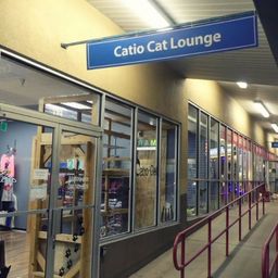 Coin image for Cg1Uf5ugGF6g1b1gWidMPvXRM8bFUvBiYLaqXJCPpump