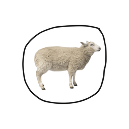 Coin image for Cg67vcfFrHMXkg6CoZ1kZx7LyEY2NHHahrmBgLLvpump