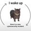 Coin image for ChDTca7DQQKcxFy7MEDhHzSoX93PLZjNAh3GsJzwpump