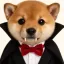 Coin image for ChXPoQ9X43DnUTZMof1kgSvnCaKq69cWsZokfX7fpump