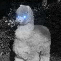 Coin image for CiFnCTHjtXMCJ9UWBhtCaXfMtczps1CX4kYaLTzTpump