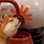 Coin image for CjcJcSRxUHkXjGCXLfpYS8WZgn7U8wR9LxZRzLnbpump