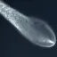 Coin image for CmJFWpw6ayvmFTS97BkZHWg6JVCVv48hzrDrK7anpump
