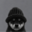 Coin image for Cmd9ogT9bkWtjPsjRDS2SjgUpmEJ85w6ApVExcrApump