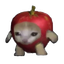 Coin image for CoeYSBKk7urbjVQDcNe41GoyHQ1MaMM6sRNqvCrzVUGE