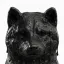 Coin image for CrQpdR3ZYp85fS3SJk82gzdcnCZqJQxkDibx6tJMpump