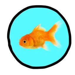 Coin image for CruxHHX5A3oDvTHNWEhXaCEDDaUYcfMbXfE64hWCpump