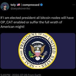 Coin image for Cs3XsPPaKzprJaDxAz3YVnFKQfa4wMJM1KZ53ceVpump