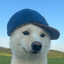 Coin image for Cs5siKsKXMnDAraWiHyrxREyqXMEtSzxaMzz1qN3pump