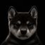 Coin image for CsVfG4genx7gzjFtGUpJ2sM9tNoPtuMpRNuTYhq6pump