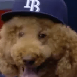 Coin image for CsuesdYbGFogRCfXFCVcuHnPcFgrmy4GVHf8bTvJpump