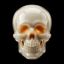 Coin image for Ct1YqphxvgzwHvnufGEkXLkbRvxng97BNTokqEgKpump