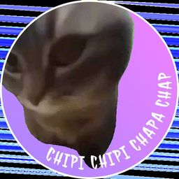 Coin image for CtCKK4Tt8fAwDc4tTvouAMdEEUBUEeveTuVVxcdk5DX6