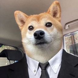 Coin image for CtF5mtcCPpWpjh2gadRbHMdskmkSEAkYsW2Hog4jpump