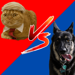 Coin image for CtHGwfHiRq1uNJqa8eyJjTUbfThwhrupv6VecnSvpump