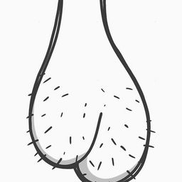 Coin image for CtRNKZnhJzUn7Fukk8Wz5xXf8kHL4K5ebLBUFuAbpump