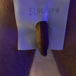 Coin image for Ctm4c6N3pFcHzqeEGKGEGk2vmcYftDN5fTBWEFinpump