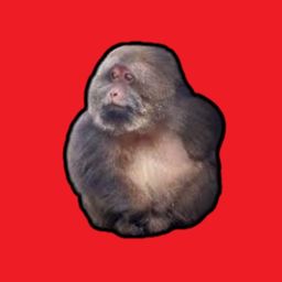 Coin image for CtyhWzEMgsofLLv7EVseDb4iJaaWw8zrEaFT8WRov5hX