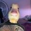 Coin image for Cu8tfXWfxGACkJhStSbapidA4yFUvzcZV2WEvHE4AjnH